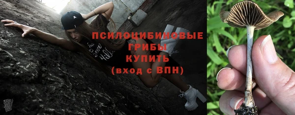 скорость Нея