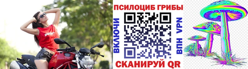 Псилоцибиновые грибы MAGIC MUSHROOMS  продажа наркотиков  Рыльск 